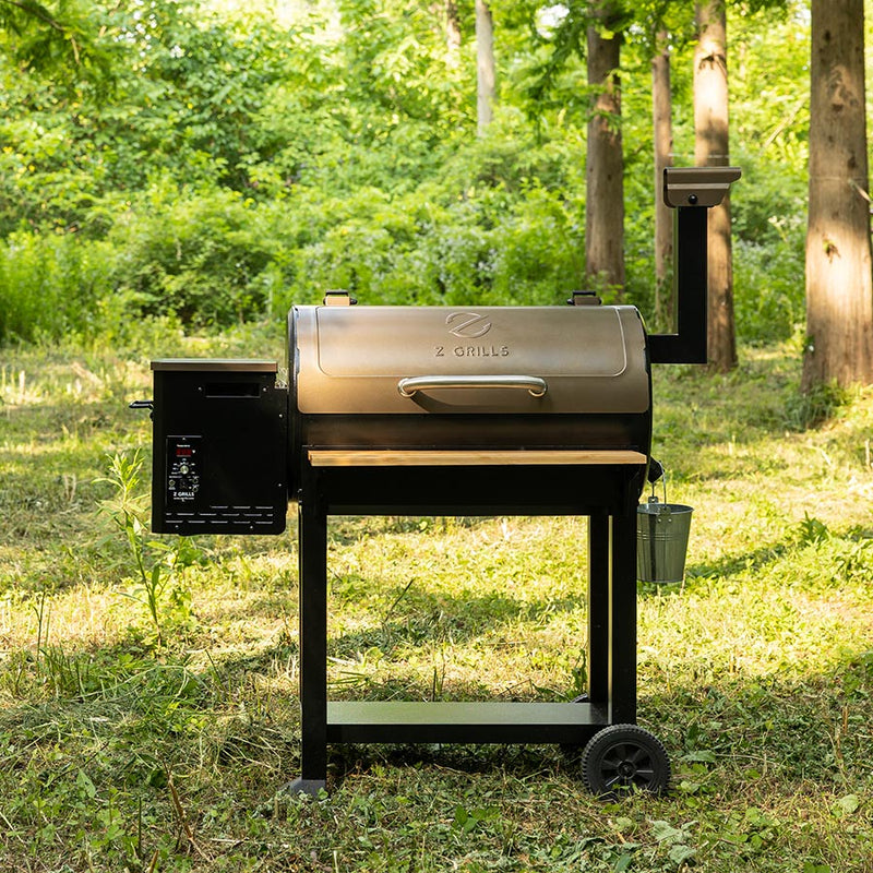 Z GRILLS-550C
